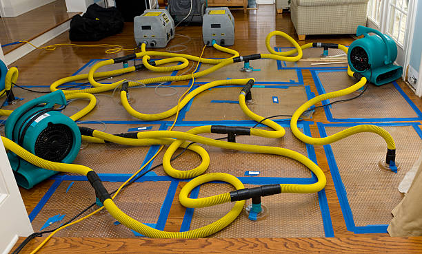 Professional Storm Water Damage Restoration technician working in Stanford, KY